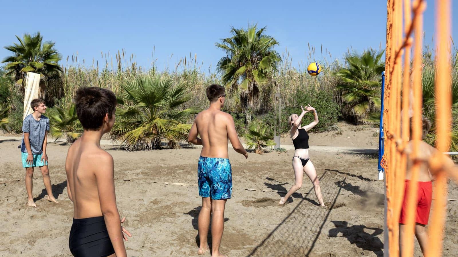beach-beach