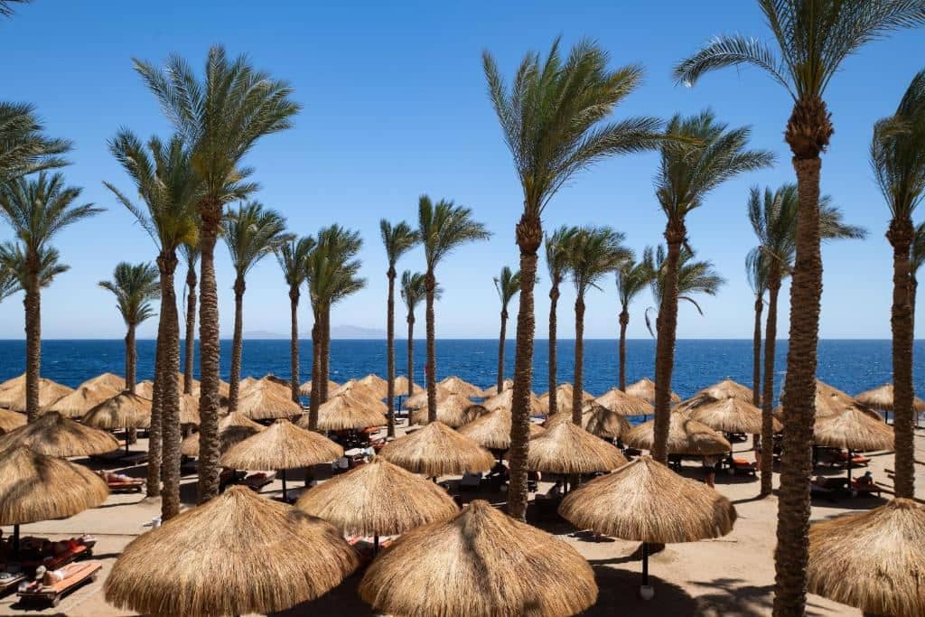 beach-beach