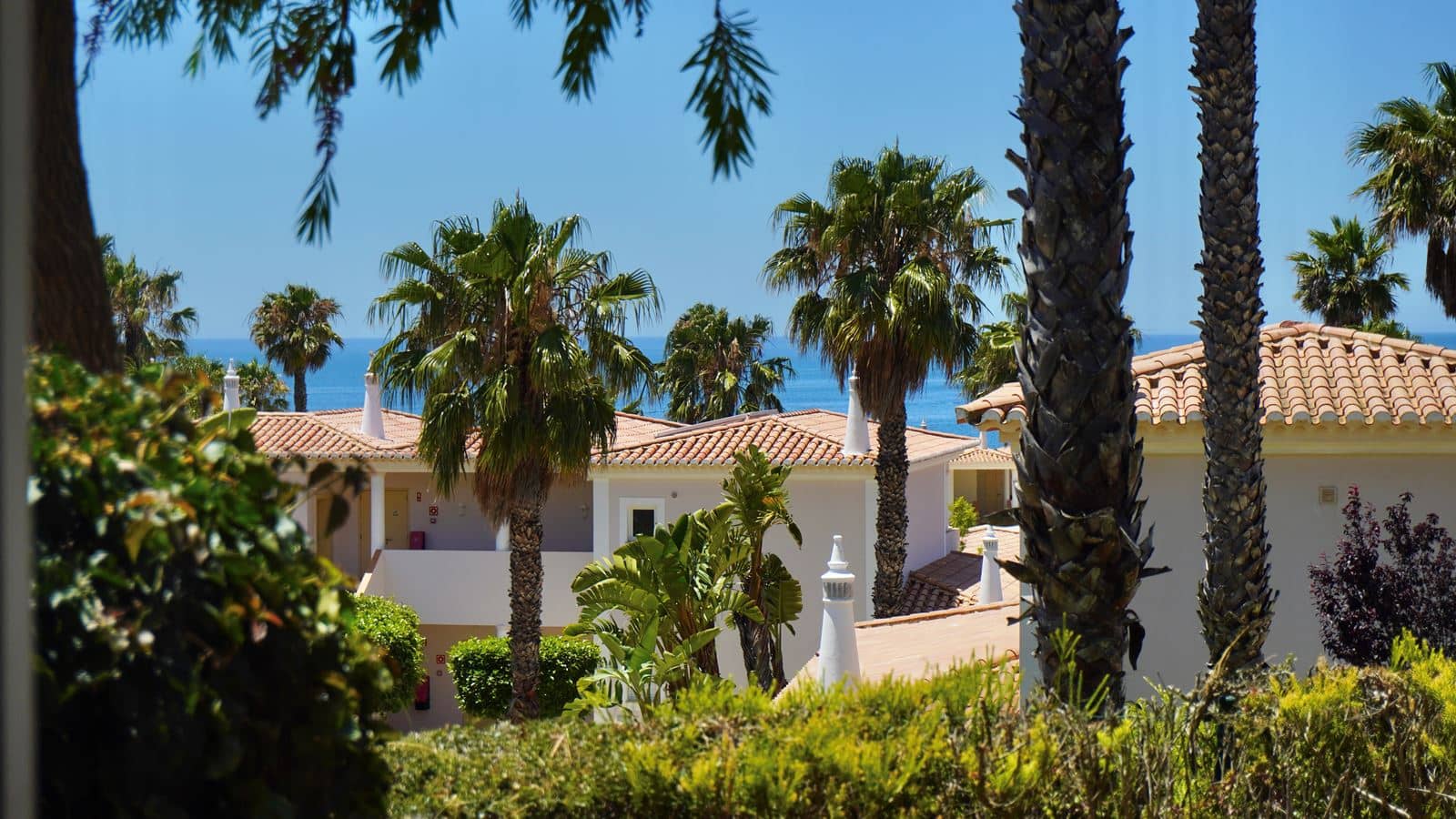 rooms-1l--1bedroom-apartment-side-sea-view