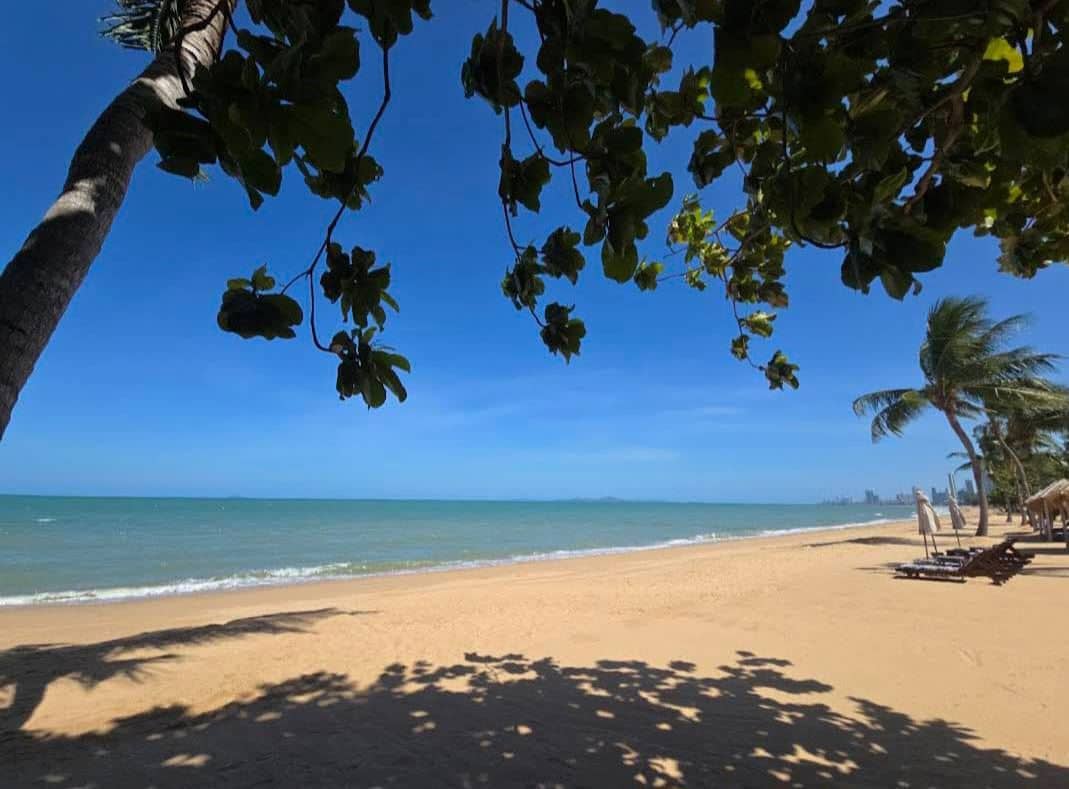 beach-beach