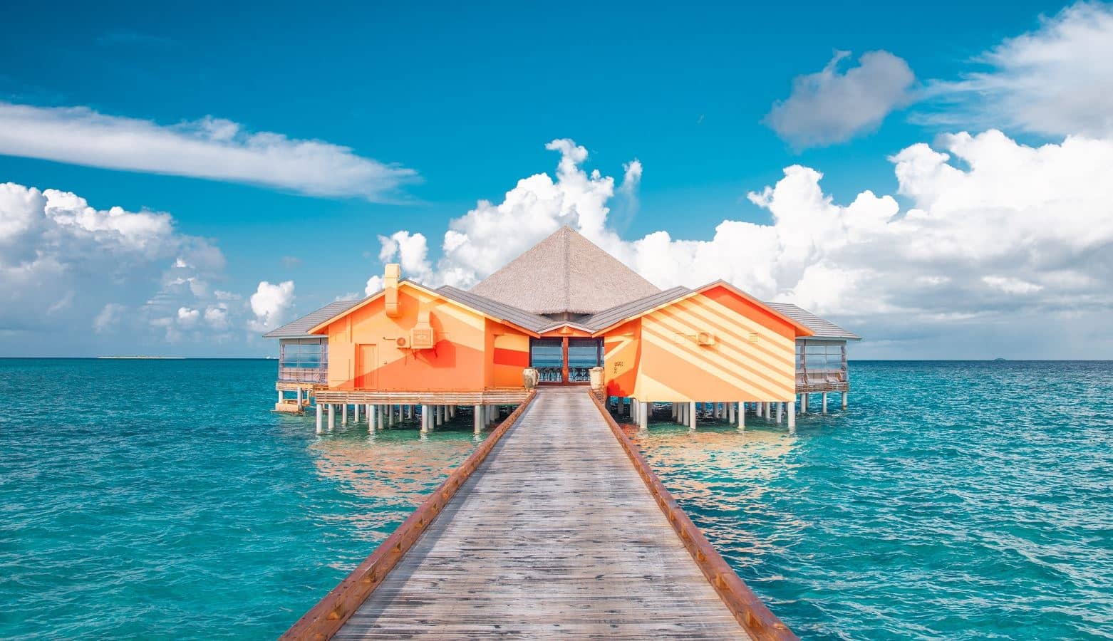 bars-beru-bar