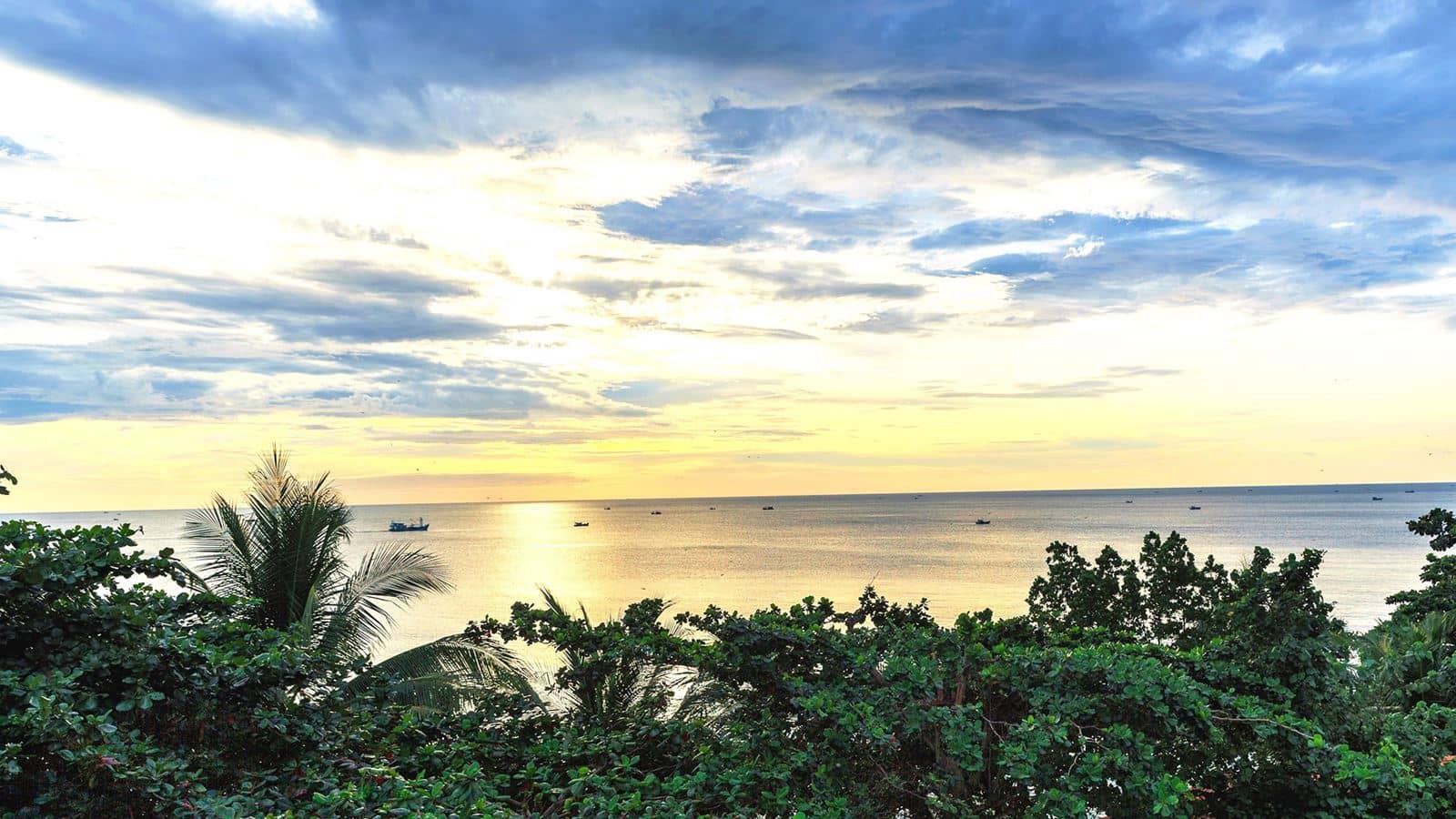 rooms-superior-ocean-view