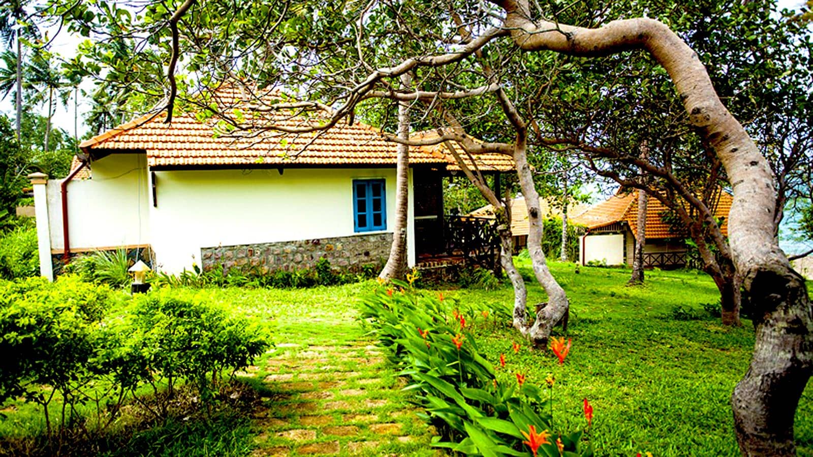 rooms-deluxe-bungalow-sea-view-with-terrace-child-without-extra-bed