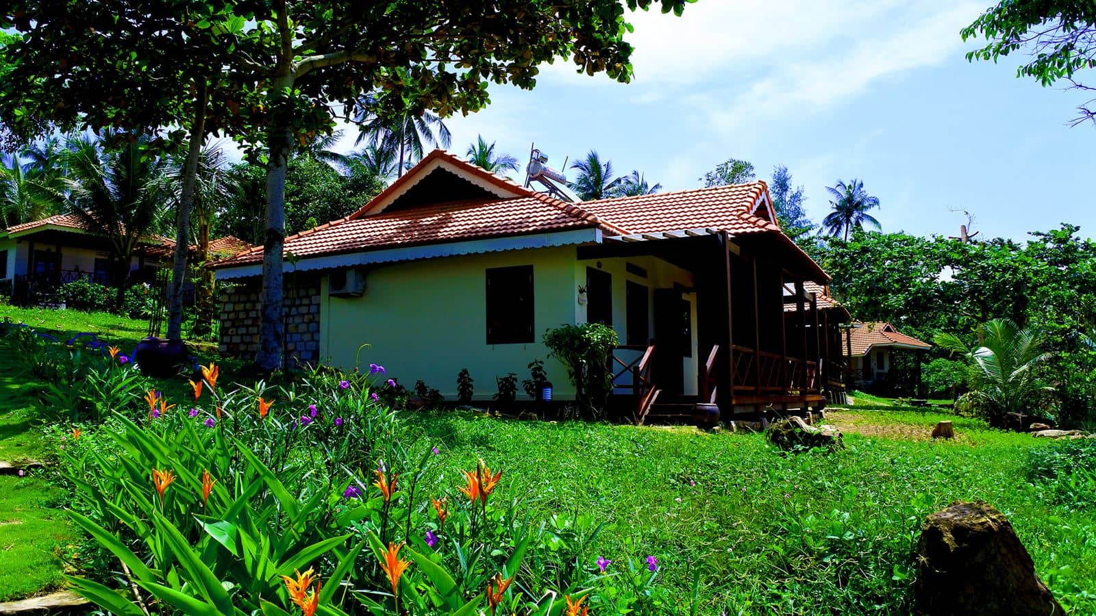 rooms-premier-bungalow-beachfront-with-terrace