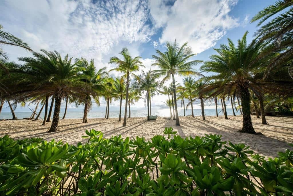 beach-beach