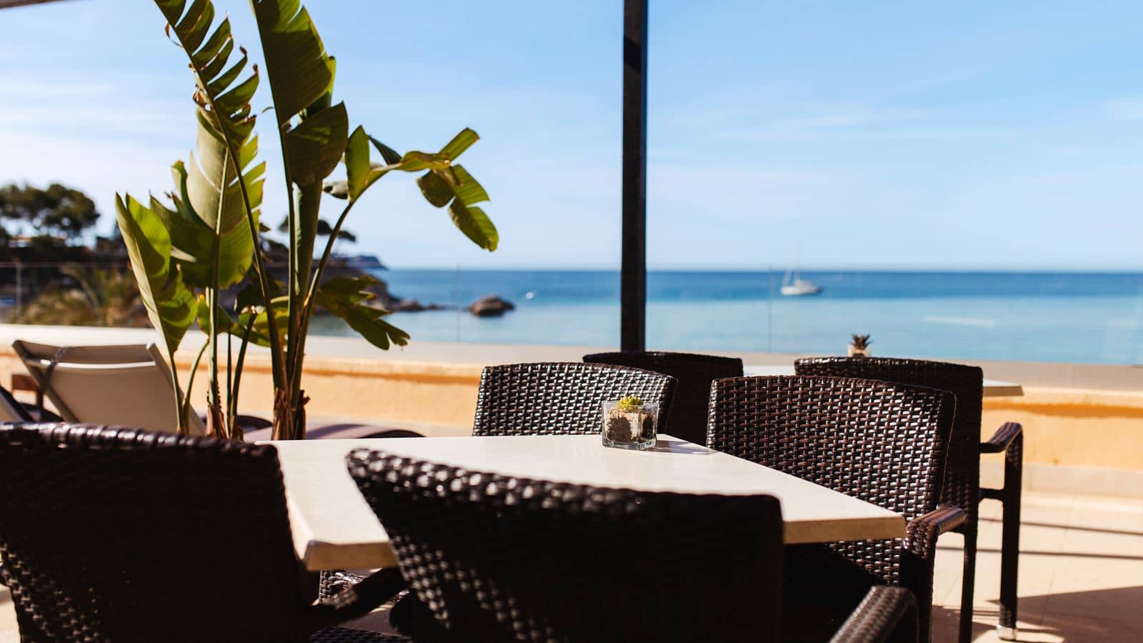 restaurants-olio