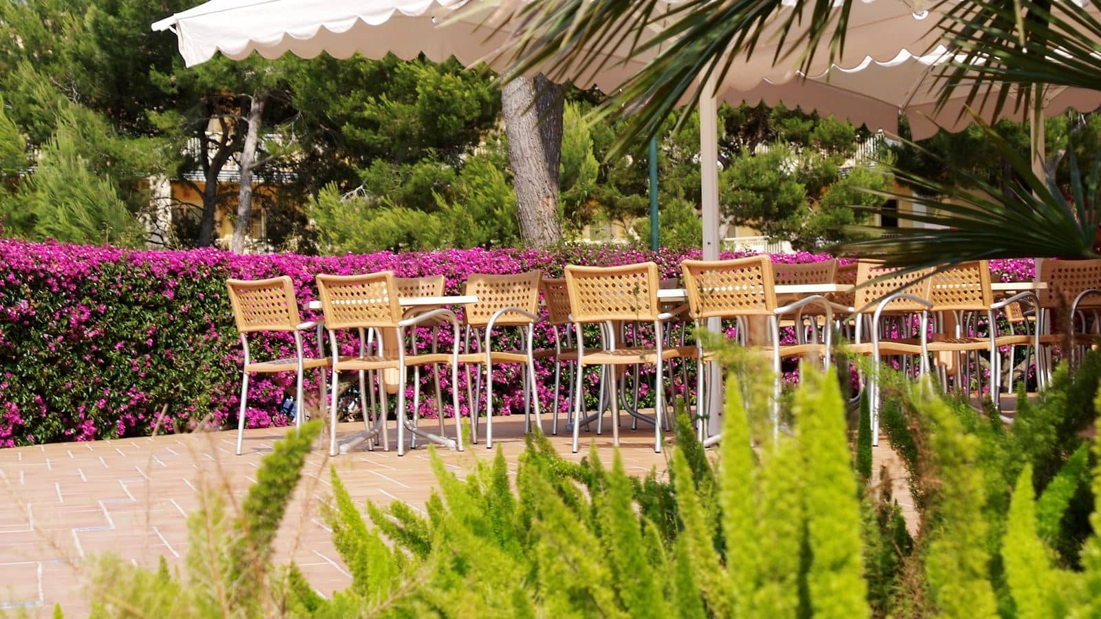 bars-la-palapa