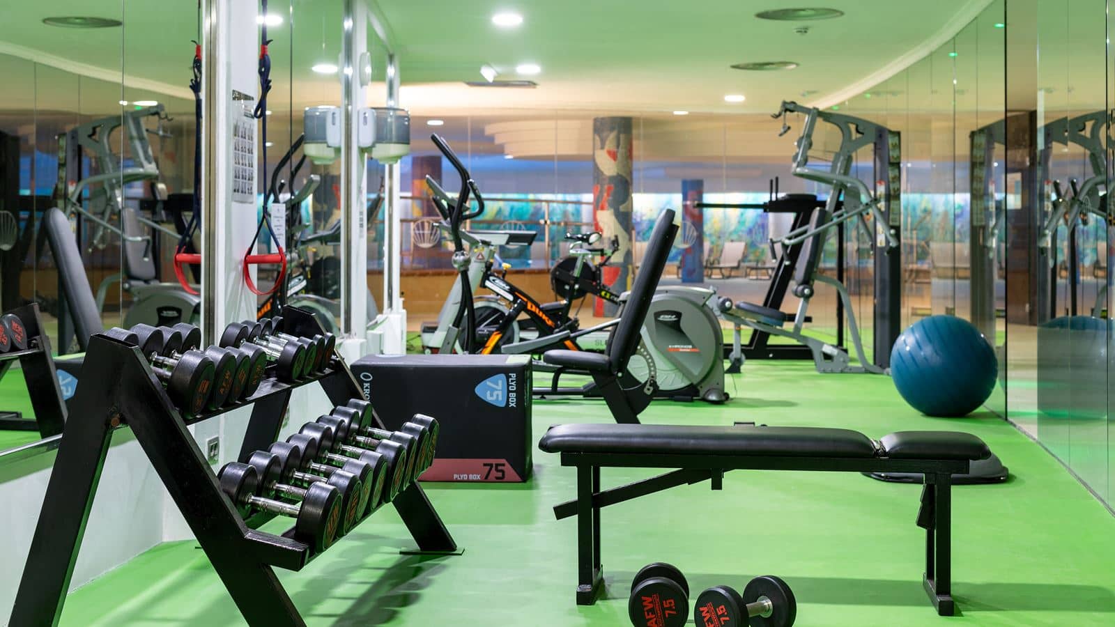 sport-sport