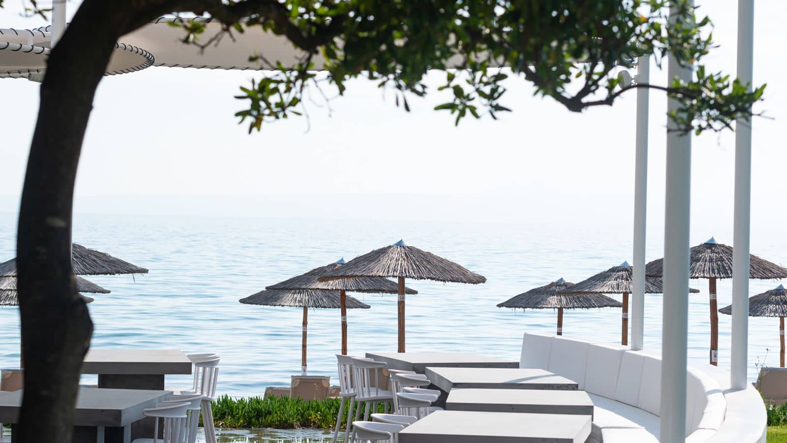 restaurants-nikkei-restaurant-peruvian