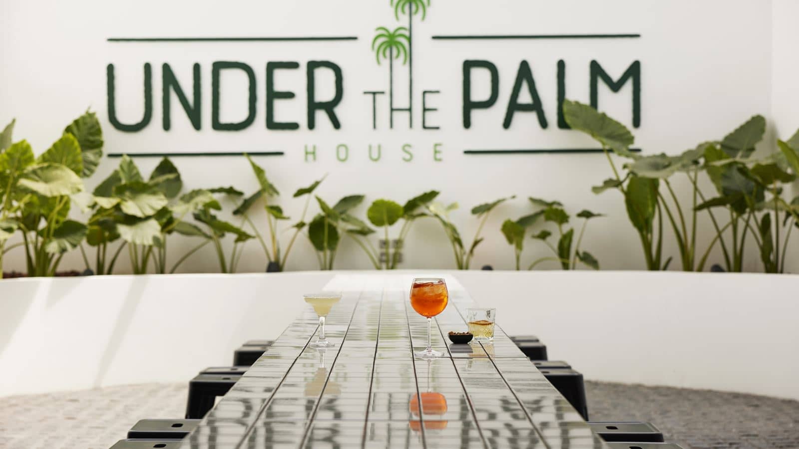 bars-under-the-palm-bar