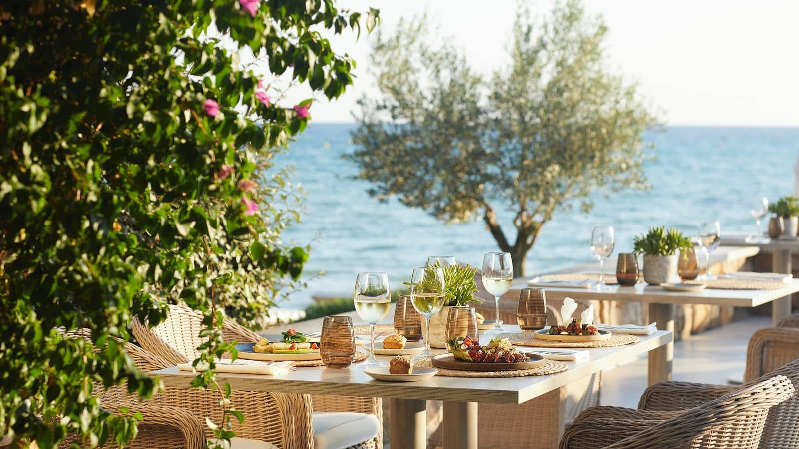 restaurants-ammos