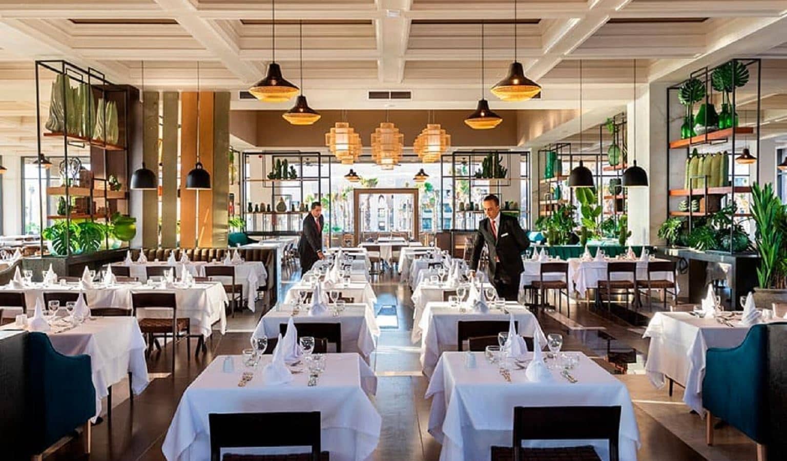 restaurants-restaurants
