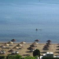 Plaża preview
