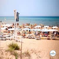 Plaża preview