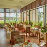 Restauracje preview