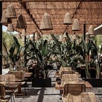 Restauracje preview
