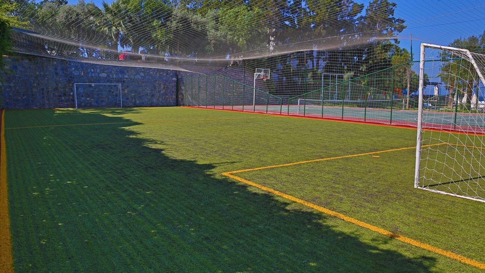 sport-sport