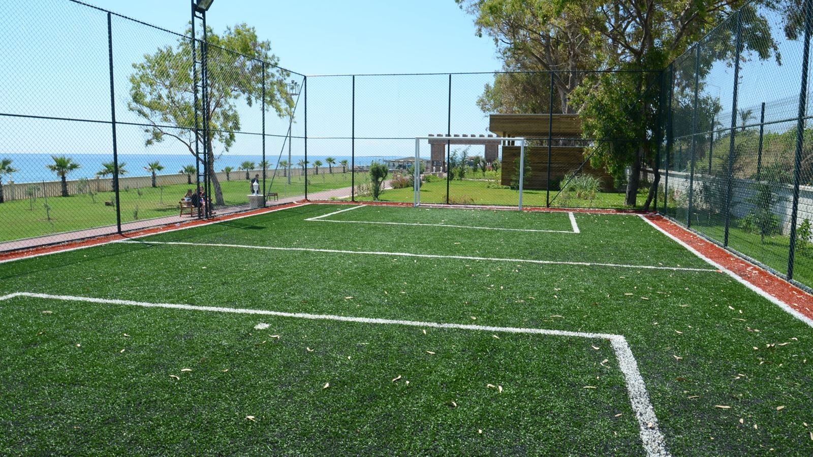 sport-sport