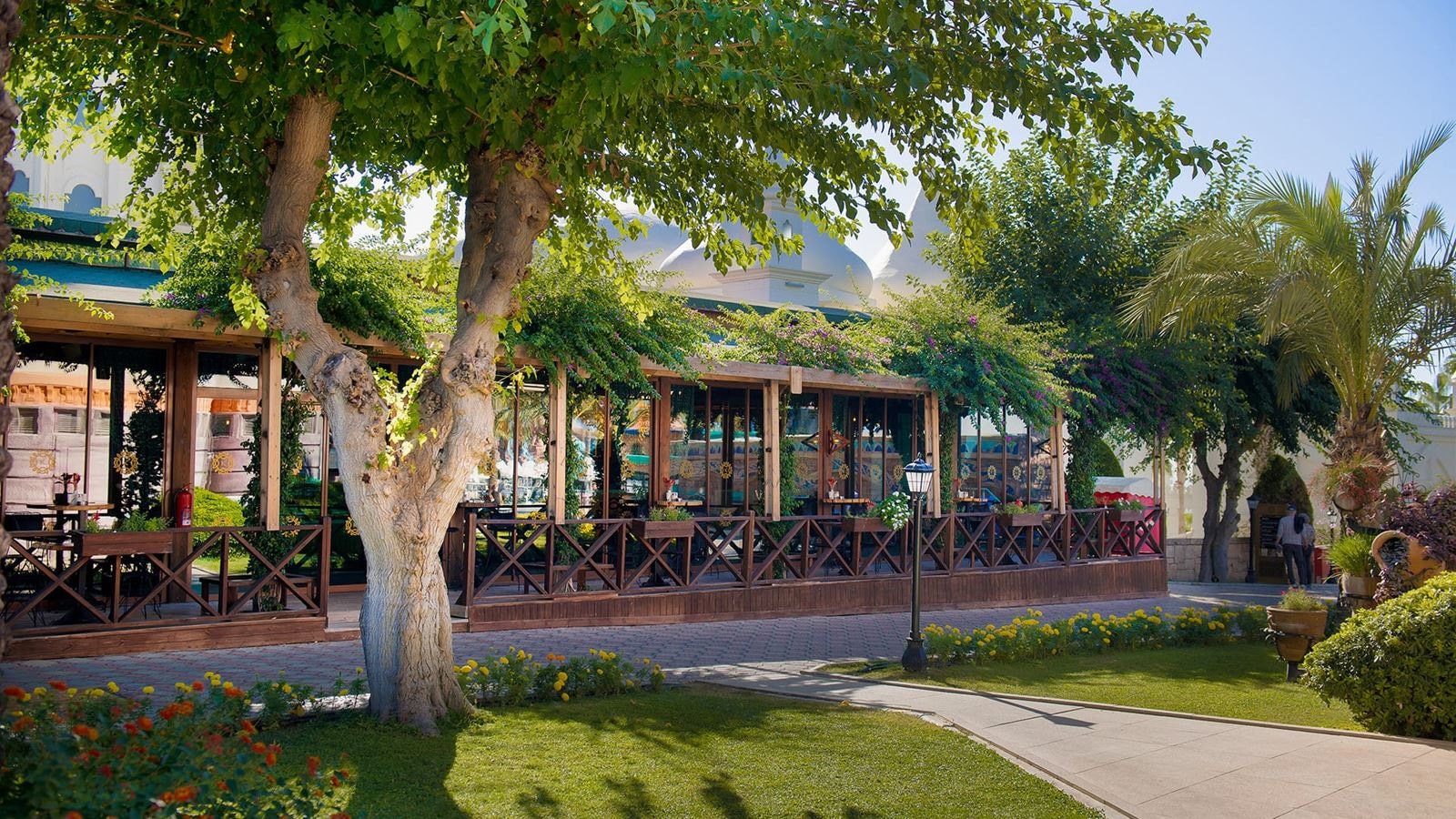 bars-cafe-house