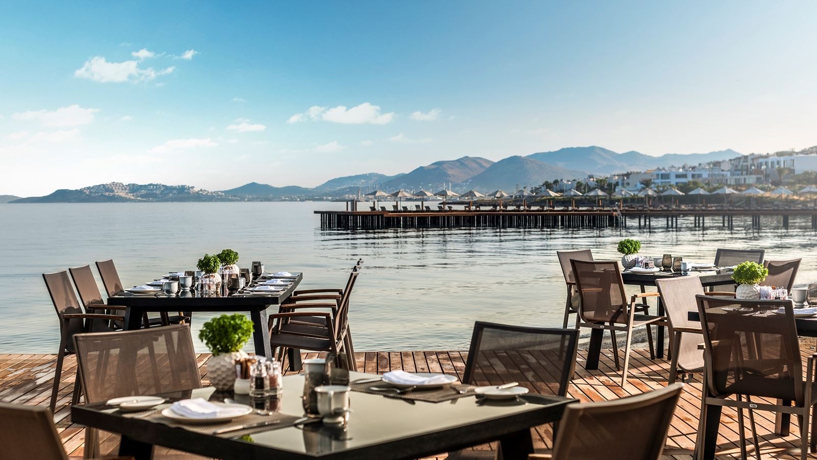bars-the-beach-bar