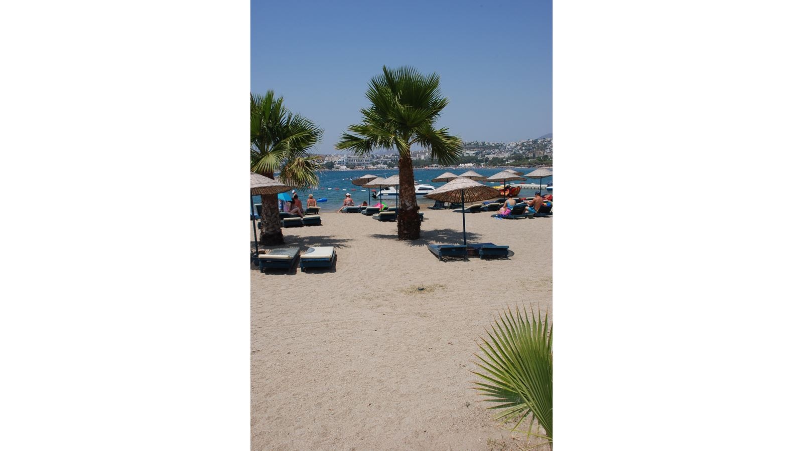beach-beach