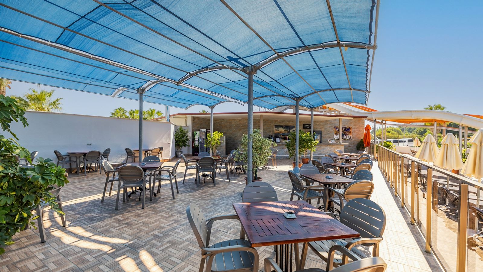 bars-apollon-bar