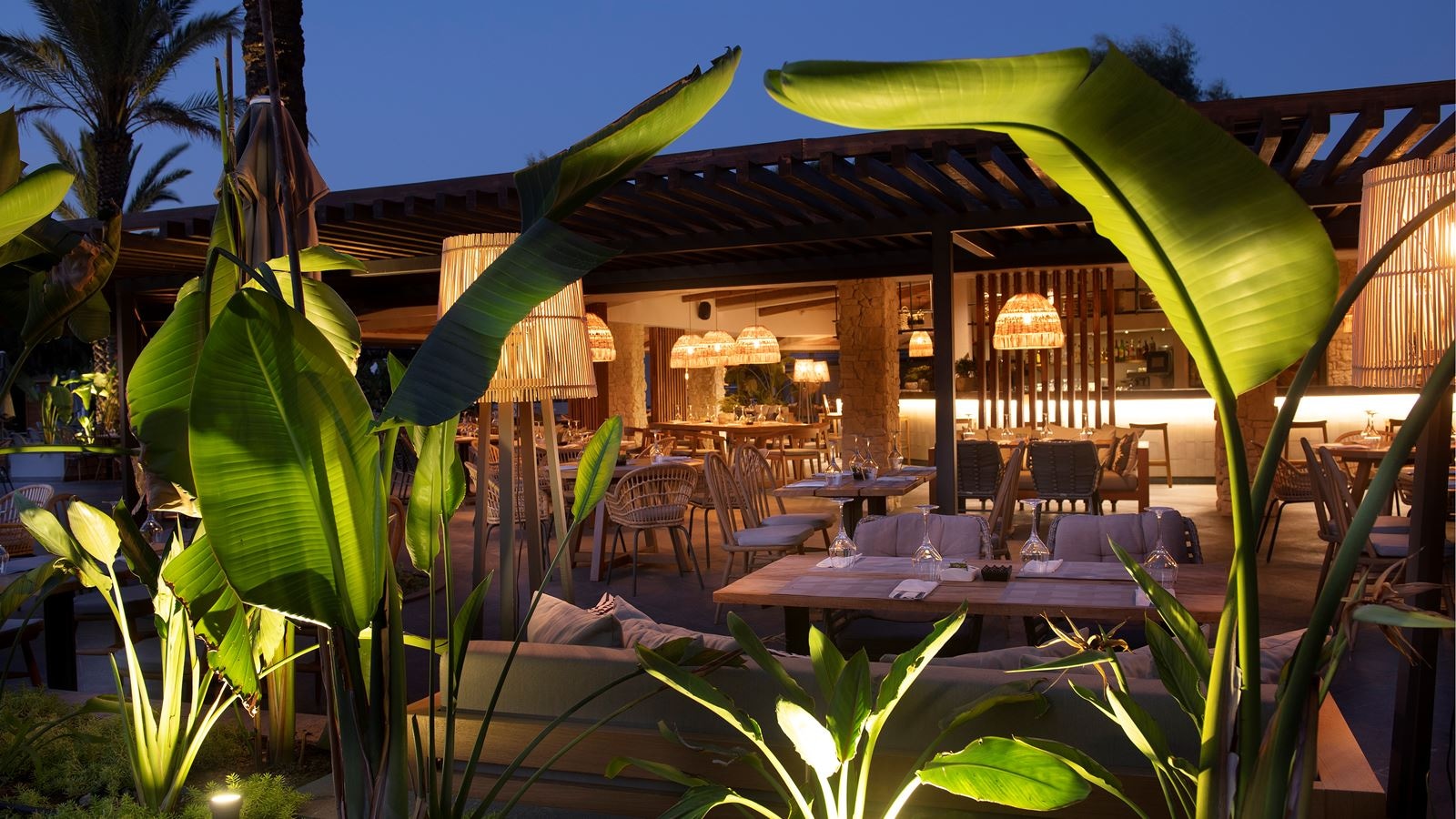 bars-disco-del-mare