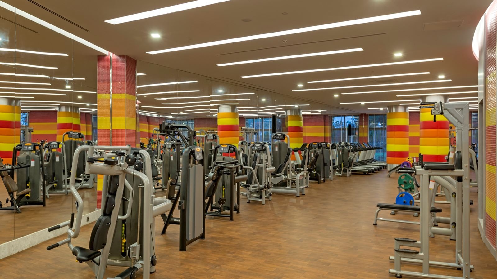 sport-sport