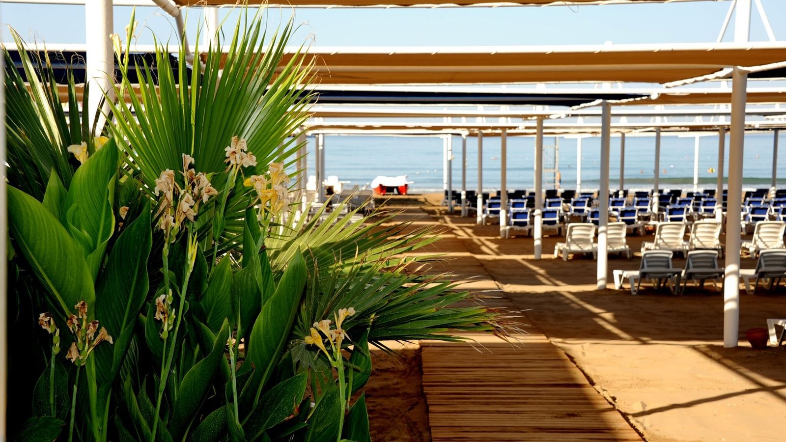 beach-beach