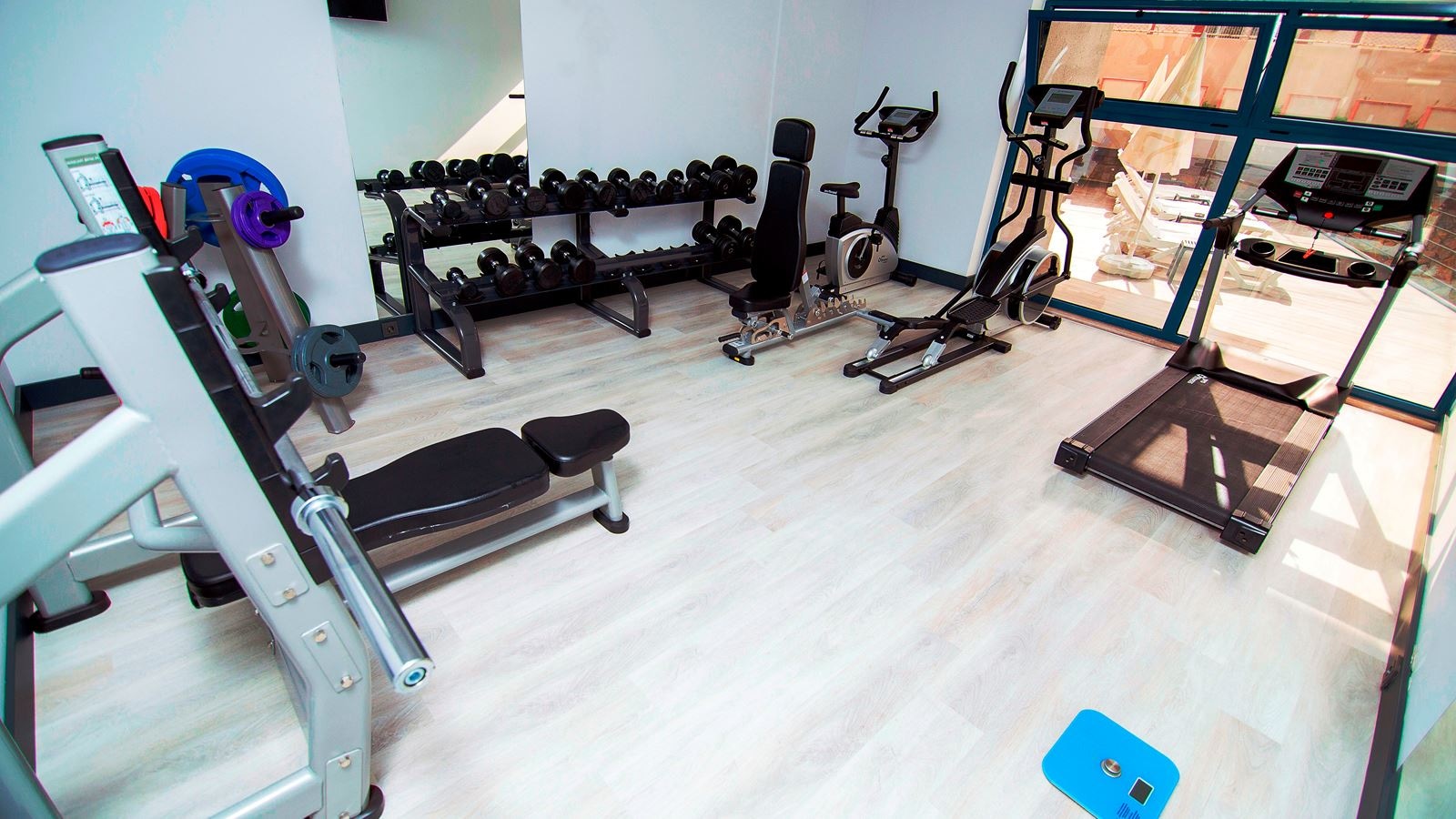sport-sport