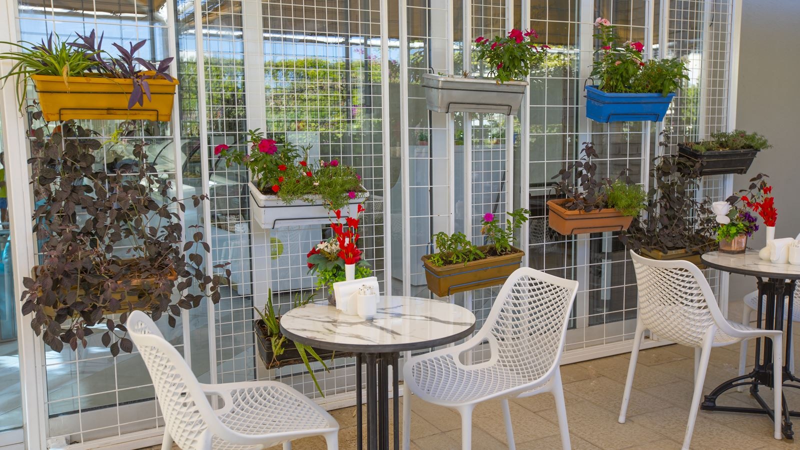 restaurants-cafe