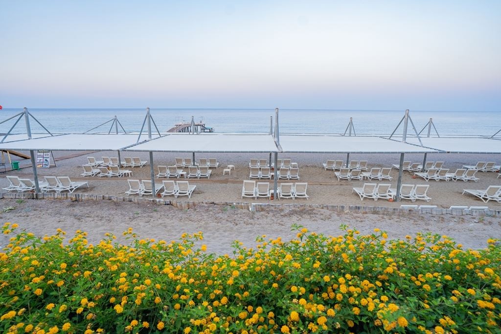 beach-beach