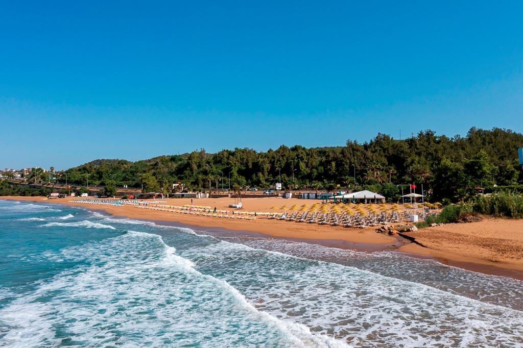 beach-beach