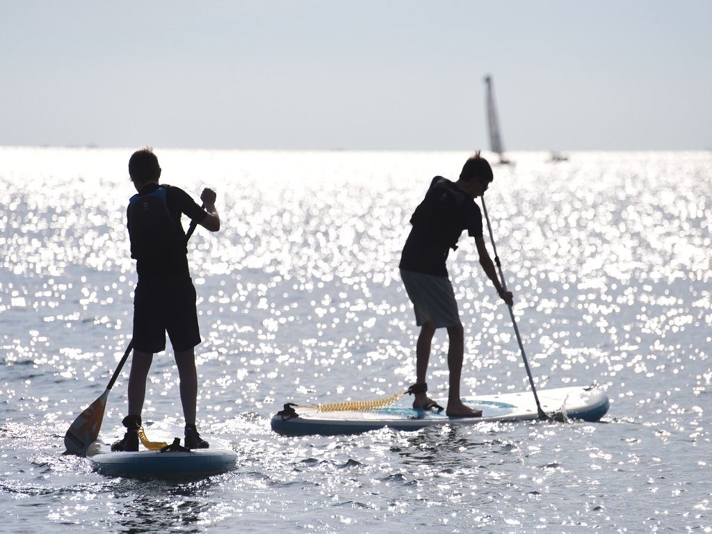 sport-sport
