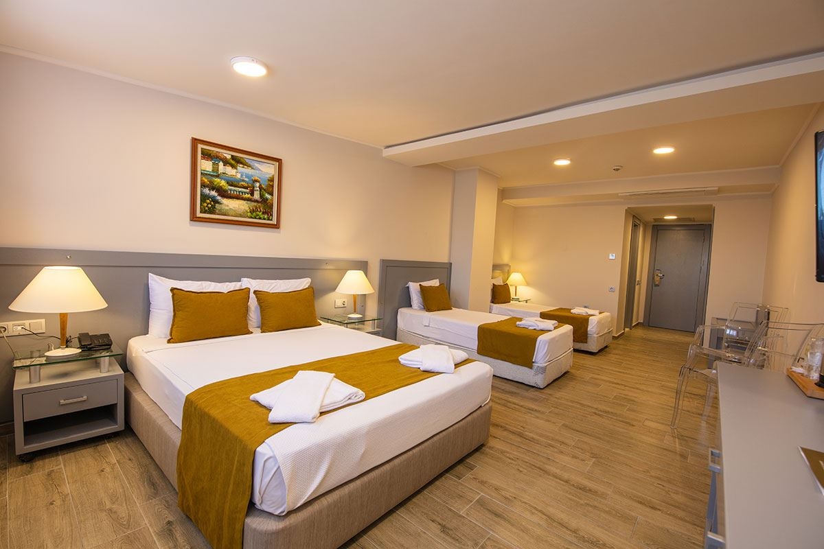 rooms-attic-large-room-no-balcony