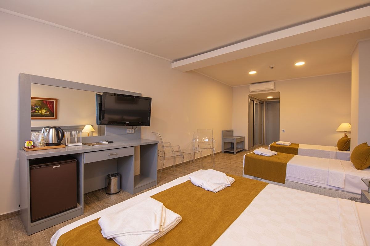 rooms-attic-large-room-no-balcony