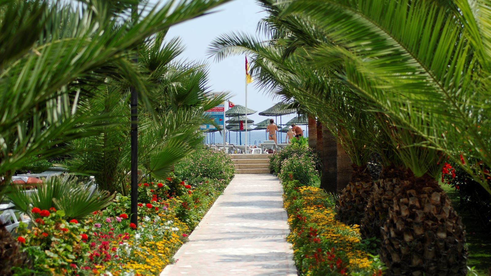 beach-beach