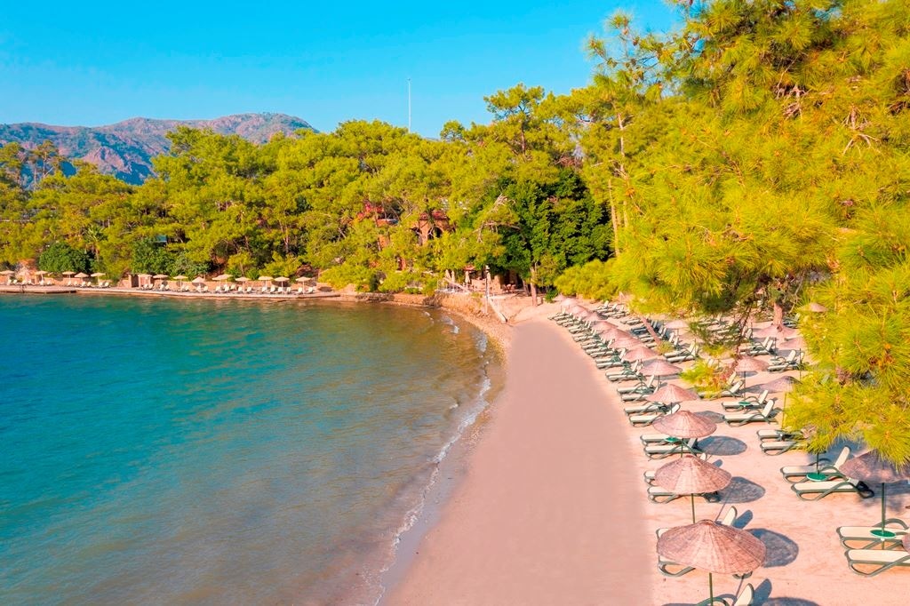 beach-beach