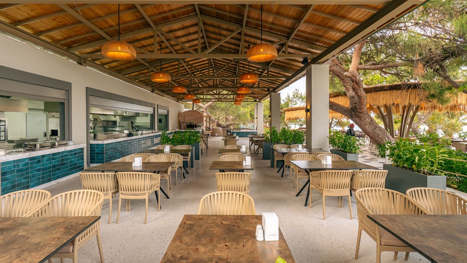 bars-the-compass-beach-bar
