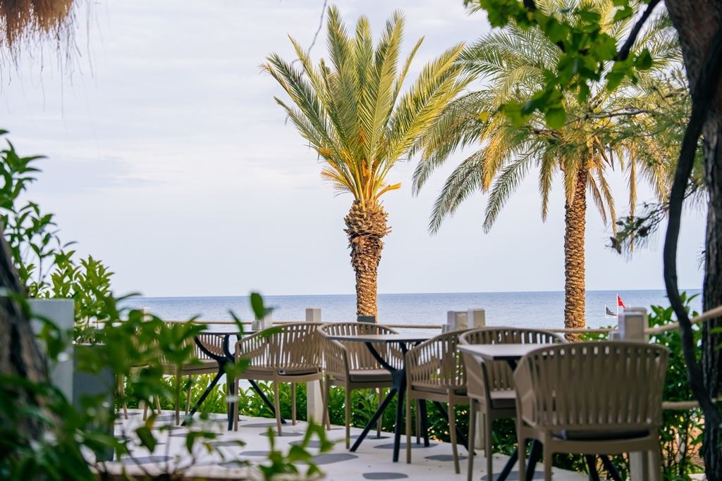 bars-the-compass-beach-bar