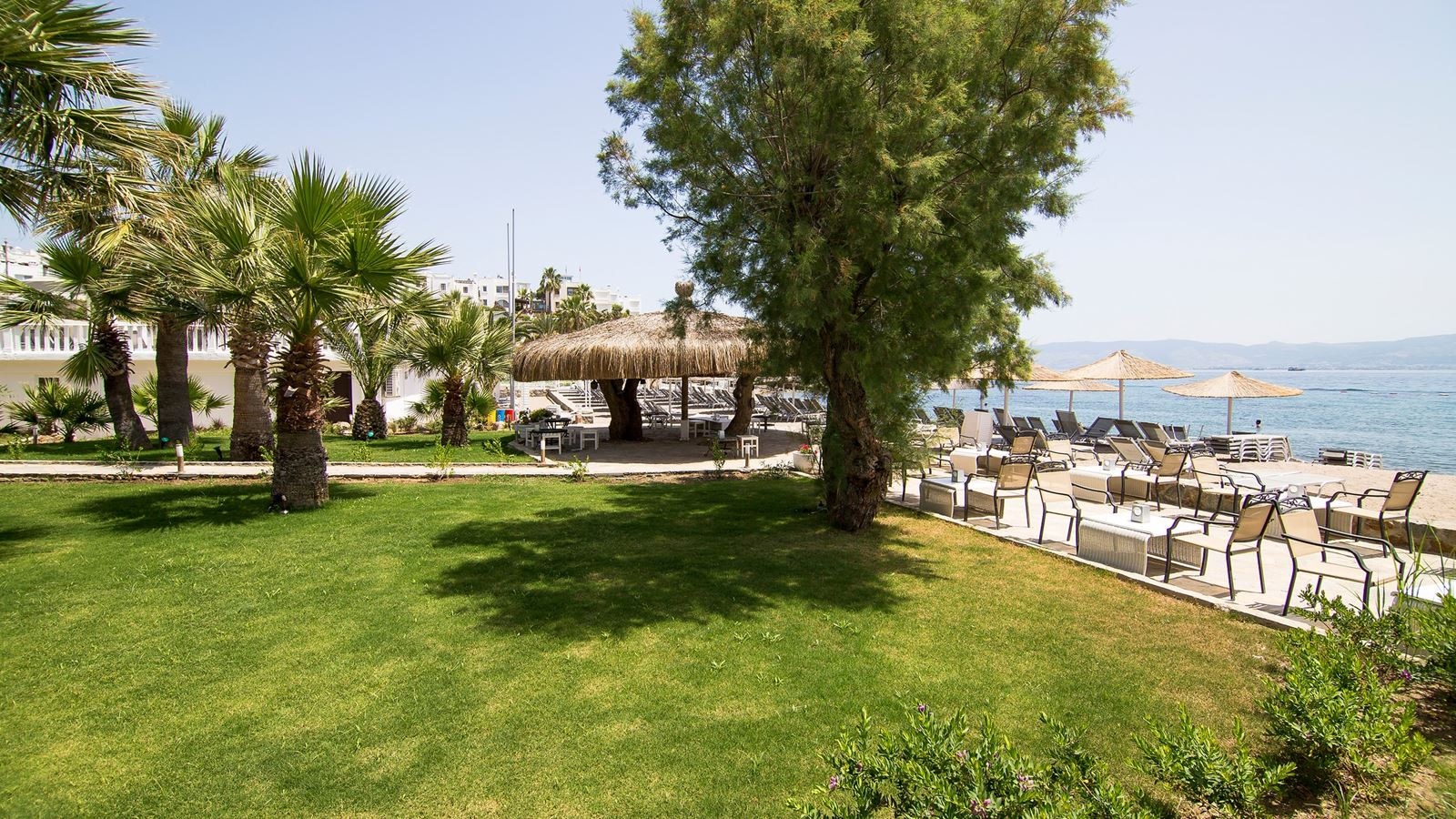 bars-beach-bar
