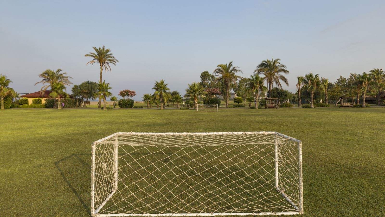 sport-sport