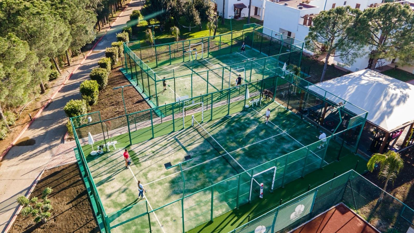 sport-sport