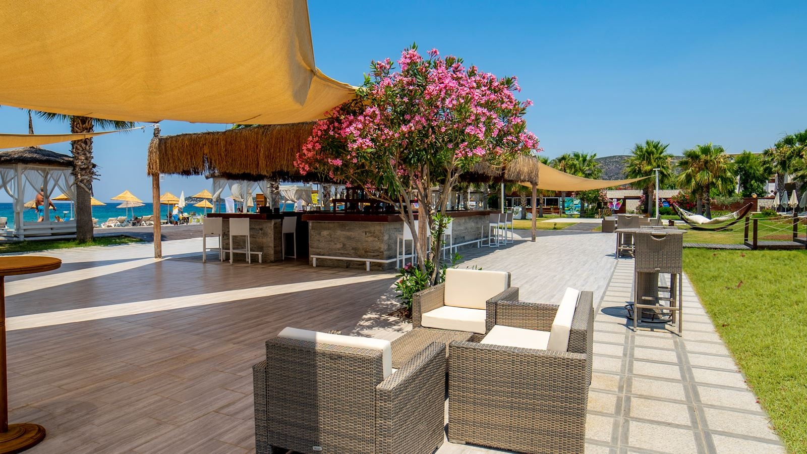 bars-snack-bar