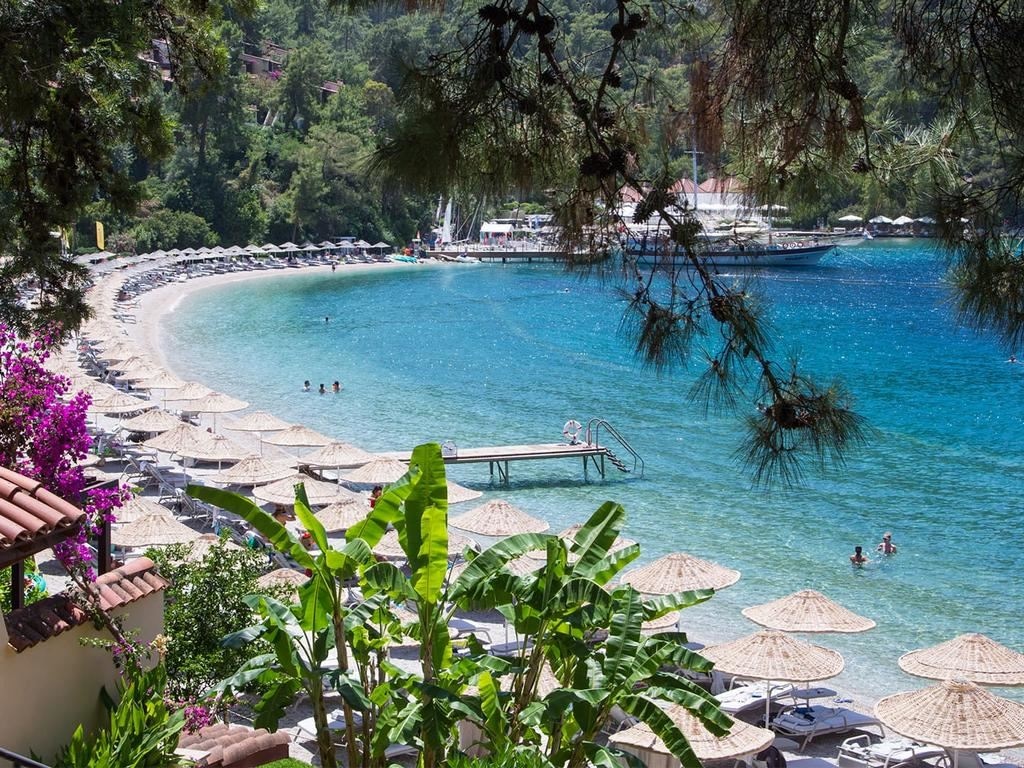 beach-beach