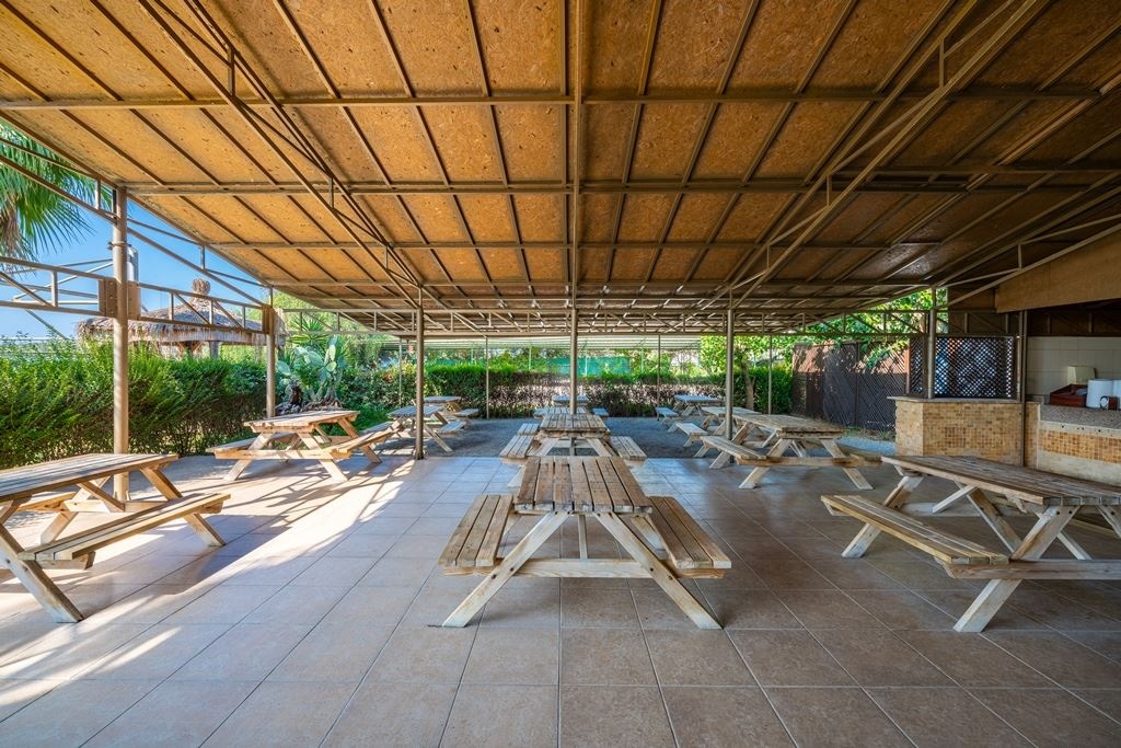 bars-beach-bar