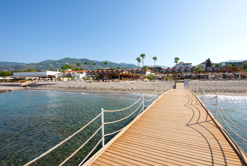 beach-beach