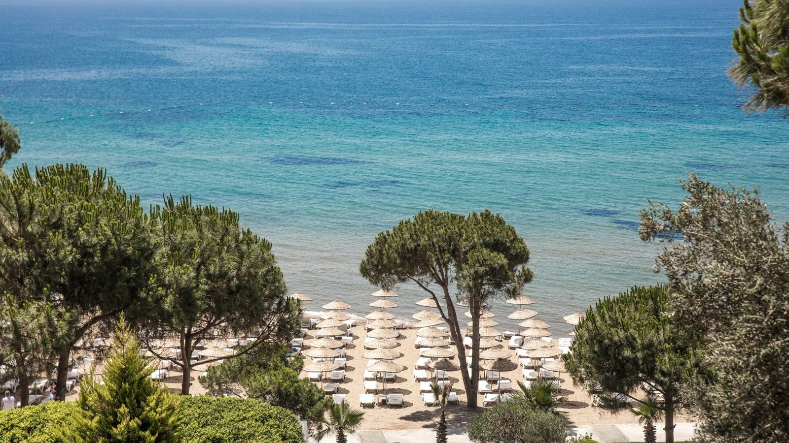 beach-beach