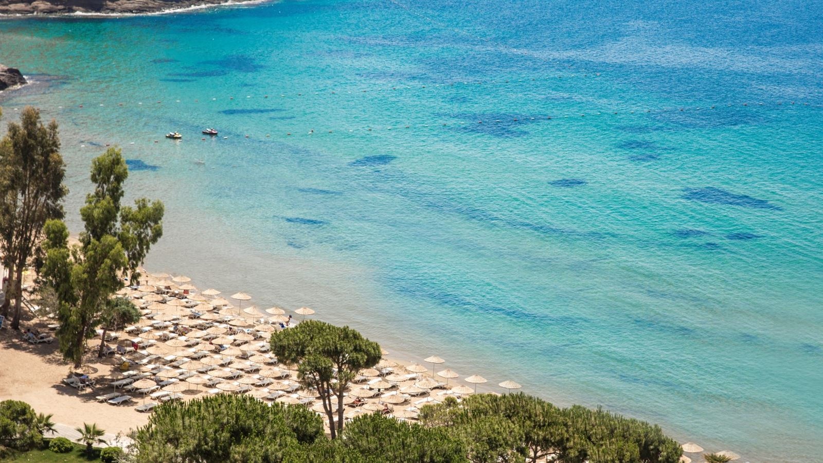 beach-beach