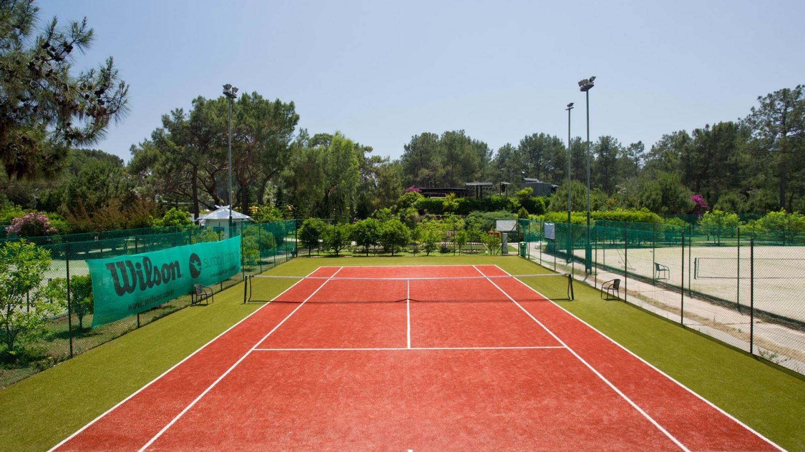 sport-sport